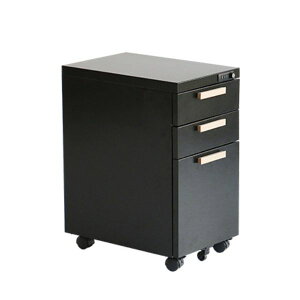 fXNS ubN/zCg S LX^[t TChS S`FXg TCh`FXg VbN/Vv/X^CbV  3i 30 x s45 x 58cm