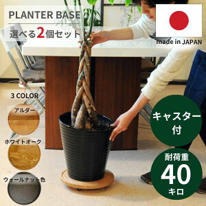 �v�����^�[�x�[�X (ALD/WHO/WAL) 2�Z�b�g �L���X�^�[�t �ؐ� �v�����^�[�u�� �k��/�i�`������/�a���_�� �㎿ �A���_�[/�z���C�g�I�[�N/�E�H�[���i�b�g ���Y ������� �v�����g���[�o�[ ���u�� 