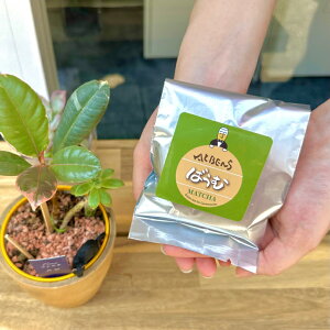 oEN[w  XC[c َq mَq  oEN[w (  ) lߍ킹 14 Zbg 퉷 َqlߍ킹 ւ̂J ؂Ȑl 蕨 Mtg  o[