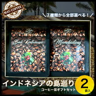 インドネシア 島めぐり コーヒー豆 100g 2袋【厳選】 純 アラビ...