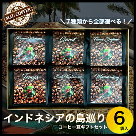 選べる ！ インドネシア 島 めぐり コーヒー豆 【厳選】 純 アラビカ豆 豆 MAU COFFEE 100g 6袋 コーヒー 珈琲 コーヒーギフト コーヒー詰め合わせ おいしいコーヒー豆 おいしい珈琲 レギュラーコーヒー コーヒーセット コヒー豆 おしゃれ 贈り物 ギフト コーヒープチギフト