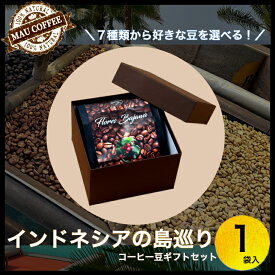 インドネシア 島 めぐり コーヒー豆 【厳選】 純 アラビカ豆 豆 MAU COFFEE 100g 1袋 コーヒー 珈琲 コーヒーギフト ギフト おいしいコーヒー豆 おいしい珈琲 レギュラーコーヒー コヒー豆 珈琲豆通販 プチギフト おしゃれ コーヒープチギフト コーヒーギフトおしゃれ