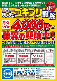 楽天市場 ネズミ ホウ酸の通販