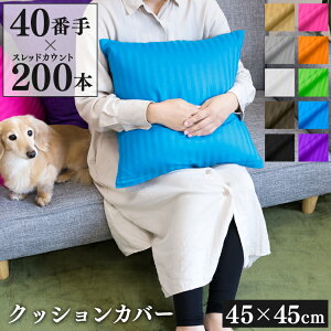 NbVJo[ 45×45cm 40Ԏ TeXgCv | 100 {[_[ t@Xi[  킢 􂦂 zcJo[ XNGA Jo[ CeA ͗lւ Q \t@ l q i 