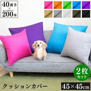 NbVJo[ 45×45cm 2Zbg 40Ԏ TeXgCv | 100 {[_[ t@Xi[  킢 􂦂 zcJo[ XNGA Jo[ CeA ͗lւ Q \t@ l 