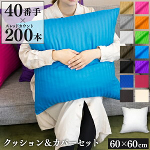 NbV + IׂJo[t 60×60cm 40Ԏ TeXgCv | 100 {[_[ 傫 wăJo[ s͗l RۖhL  킢 􂦂 zcJo[ XNGA Jo[ Ce