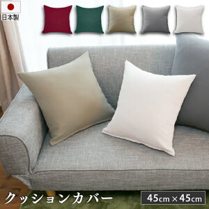 { NbVJo[ 45×45cm ub`[ | Vv n Jo[  킢 ӂӂ 􂦂 zcJo[ XNGA  _炩 O[ [L x[W O[ {h[ 