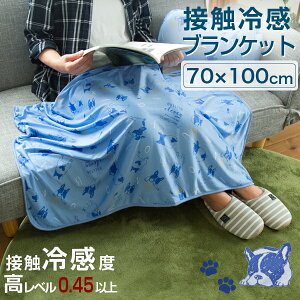 ڐG⊴uPbg 70×100cm ėp | ^IPbg o[Vu Ђ ⊴  킢 Ђ| QPbg Ђ ڐG⊴  􂦂 ΍ [΍ pC ItB