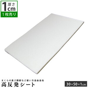 V[g 30×50cm (1cm) E^ p |   V[g   ObY ObY   d  ֗ObY E^V[g }bg  