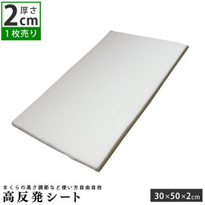 V[g 30×50cm (2cm) E^ p |   V[g   ObY ObY   d  ֗ObY E^V[g }bg  