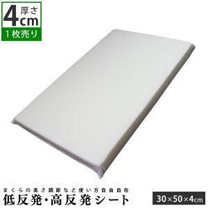 V[g 30×50cm (4cm) p |  V[g  ᔽ  ᔽ   ObY ObY   d   ֗ObY E^V[g }bg 