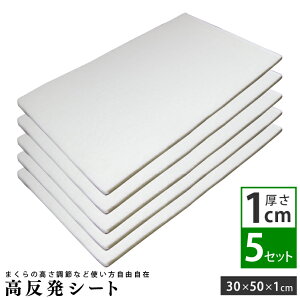 V[g (1cm) 5Zbg 30×50cm E^ p |   V[g   ObY   d  ֗ObY E^V[g }bg   