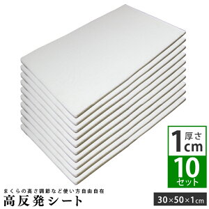 V[g (1cm) 10Zbg 30×50cm E^ p |   V[g   ObY   d  ֗ObY E^V[g }bg  
