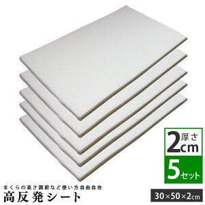 V[g (2cm) 5Zbg 30×50cm E^ p |   V[g   ObY   d  ֗ObY E^V[g }bg   