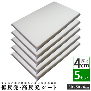 Iׂ V[g (4cm) 5Zbg 30×50cm p |   ᔽ  ᔽ   ObY ObY   d   ֗ObY E^V[g 