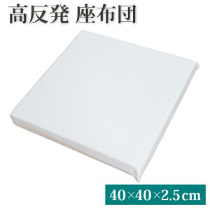 V[g(2.5cm) 40×40cm | zc d }bg  E^ ֗ObY ObY 45×45    т  QԂ  ܂   V[g }bg  N