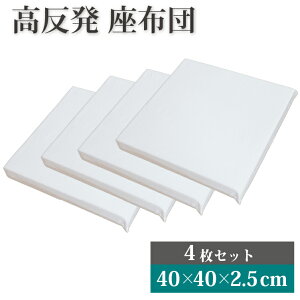 V[g(2.5cm) 4Zbg 40×40cm | zc d }bg  E^ bNX ֗ObY ObY 45×45    т  QԂ    ւ