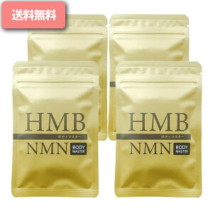 HMB {fB}X^[( 30 15jTv BODYMASETER NMN {fB[}X^[ {f[}X^[