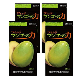 ワイルドマンゴーの力( 60粒 )亀山堂 機能性表示食品 エラグ酸 ダイエット サプリ