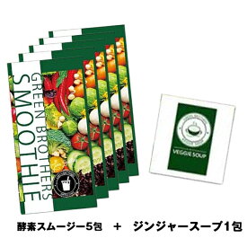 ワンデイクレンズ セット GB 1DAY GREEN BROTHERS ファスティングプログラム GB 1DAY CLEANSE SET