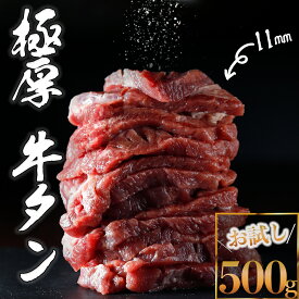 極厚牛タン塩500g（旨塩仕込み）お試し 仙台名物牛タン 牛タン タン塩 厚切り牛タン 焼肉 牛肉 BBQ