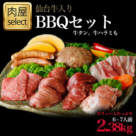 仙台牛入り BBQセット 2.38kg　 バーベキューセット　アウトドア キャンプ BBQ 仙台名物牛タン 焼肉