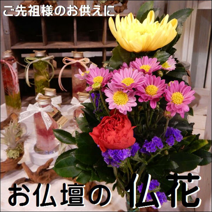 楽天市場 仏花 通常仏花 仏壇のお花 常時仏壇にお供え下さい 五分咲きでお届けご先祖様へのお花和風の伝統でご先祖様へのお供えに仏壇 仏様やお盆などにアレンジ 仏壇 花束 切り花 御供え 癒し空間 One S Garden Plants