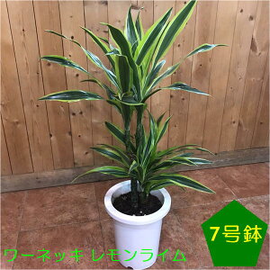 hZi [lbL C 7A̎ԂɐAւĎdグĉAWA`bN⃂_EgsJ̃CeAȂǂɂAvő傫