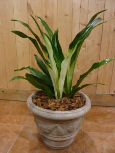 NiIgjڂ́Ea̘a݁AeB[ÑeRb^X^CbVȊϗtA􂨏jɁzjAVzjȂǂɁ􂨒aɂyzyyMt_