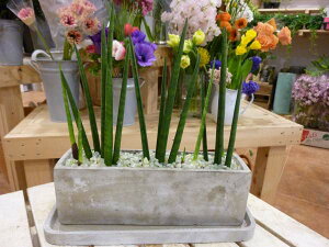 TXxA@oLXi~JhjX^CbVȊϗtAꏊ炸ł傱ƒuZgŎdグ􉡒^CvŎ󂯎MtyyMt_zyyMt_bZ