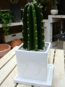 T{e CeAzCg픫@󂯎Mt@IVdグJXjAVzjAa₨jEv[giiɂ~jϗtATCY􃂃_AWAeCXgw