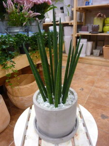 TXxA@oLX@ZgŎdグycLE󂯎MtE픫z}CiXCIʁy~jϗtAzyyMt_zyyMt_bZ