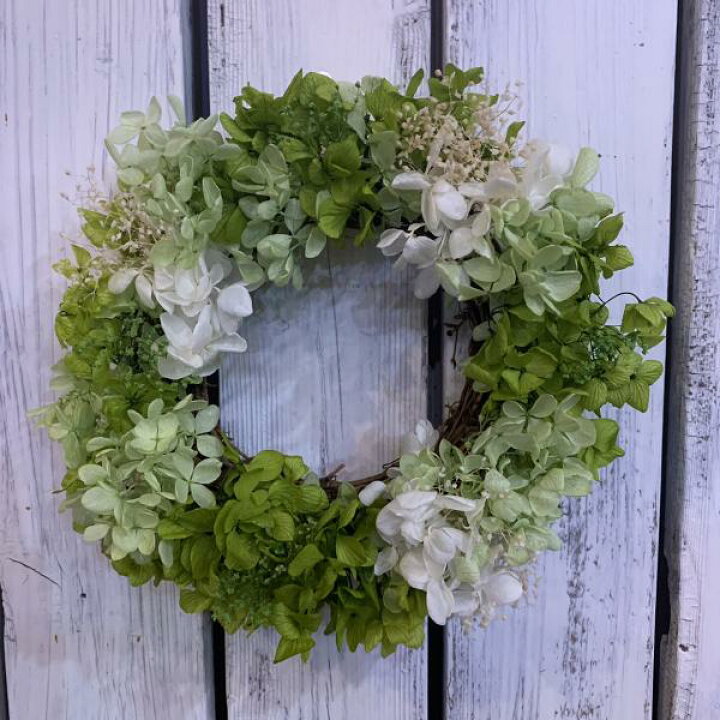 楽天市場 プリザーブドフラワーリース アジサイリース Sサイズ グリーン ホワイト お帰りなさい やさしくあなたを迎えます 癒しのリース 大人感の紫陽花シンプル仕上げ オリジナル作成品クリスマス ご自宅やお誕生日 プレゼント お祝いなどに 結婚祝い 女性 彼女