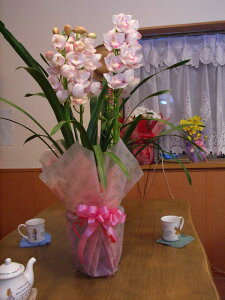 VrW[ iVrWEj@sNn@3`4{ΕȂǂɂԂv[gyyMt_zyyMt_bŹzyzt[Mtg/~Mtg/m/a/