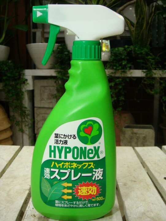 楽天市場】ハイポネックス 『速効スプレー液』葉にかける活力液 500ml : 癒し空間 One's Garden&Plants 楽天市場】ハイポネックス 『速効スプレー液』葉にかける活力液 500ml : 癒し空間 One's Garden&Plants