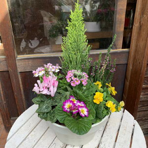 G߂̂܂񂹐A S|TCY 8Rjt@[S[hNXg VN vX`bNŌyʉJ[Iт􂨂܂sbNtwOne'sIWiA