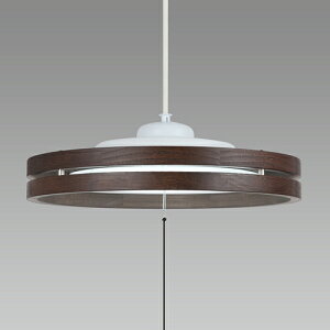 �z�^���N�X HotaluX HCDB0854 LED�y���_���g���C�g �����^�C�v �����F �`8�� �����R���� LIFELED'S HCDB0854