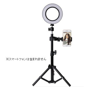 GREEN HOUSE O[nEX GH-CSL80B-BK LEDOCg USBd X^ht GHCSL80BBK