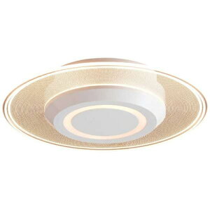 ACXI[} Iris Ohyama SCL-75L-LGP ^V[OCg  750lm dF SCL75LLGP