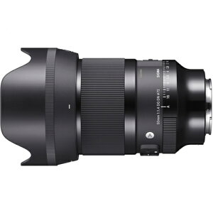 �V�O�}(SIGMA) 50mm F1.4 DG DN ���C�JL�}�E���g�p Art���C�� ���������Y