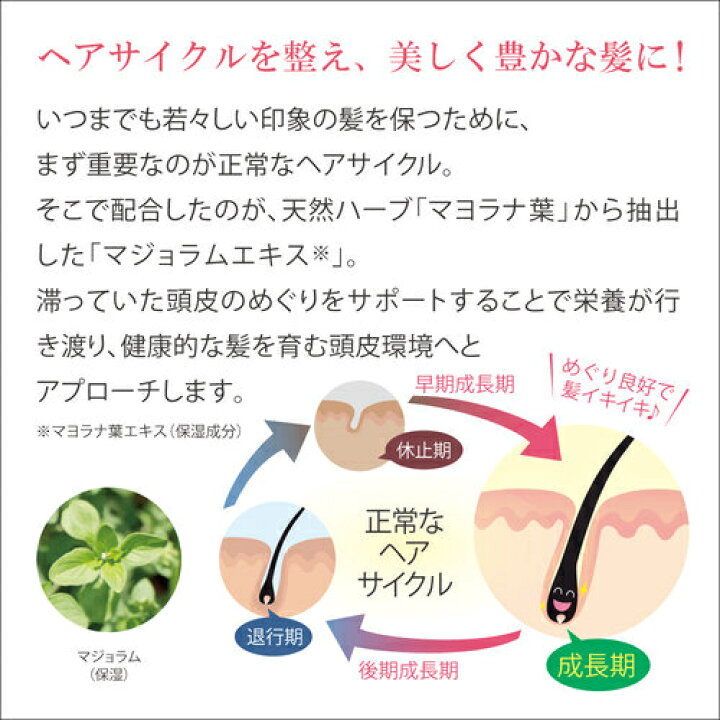 楽天市場】Aveil アヴェール グロー・ハーブ・シャンプー（詰替用 