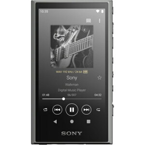 yۏؕtz\j[(SONY) NW-A307 H(O[) nC]Ή EH[N} AV[Y 64GB