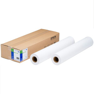 �G�v�\��(EPSON) EPPP64B0 ���ʃ��[���� ���� B0 50m 2�{