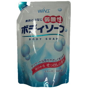 { WINS ECY _{fB\[v ̍ l֗p