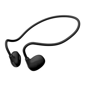 PGA PG-BTE16AR1BK �u���b�N �I�[�v���C���[ ���C�����X �X�e���I�C���z��