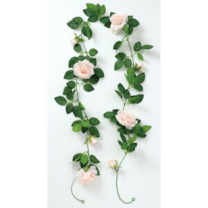 A[ebN tFCNO[ K[h o sN 75218 fBXvC@W@@Cxg@@Ղ@fR[V@ԁ@tFCNO[