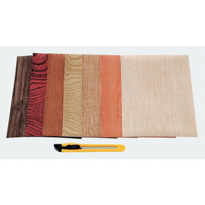 A[ebN EbhV[g 7FZbg Jb^[t 31402 WI}@Ntg@͌^@́@fށ@H@@ޗ@[NVbv@fBXvC@V[