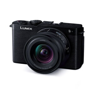 y5Nۏؕtzpi\jbN(Panasonic) LUMIX S9 DC-S9N-K WFbgubN fW^J LpY[YLbg