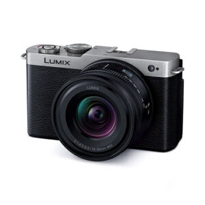 y5Nۏؕtzpi\jbN(Panasonic) LUMIX S9 DC-S9N-S _[NVo[ fW^J LpY[YLbg