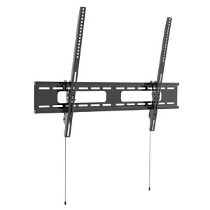 WplNXg(JAPANNEXT) JN-WMT100-96-FC Ǌ| B4^Cv